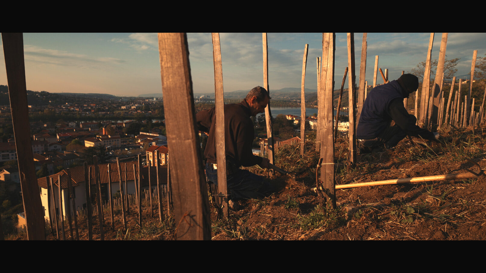 Jean-Luc au domaine Georges Vernay - Les Chaillées de l'enfer