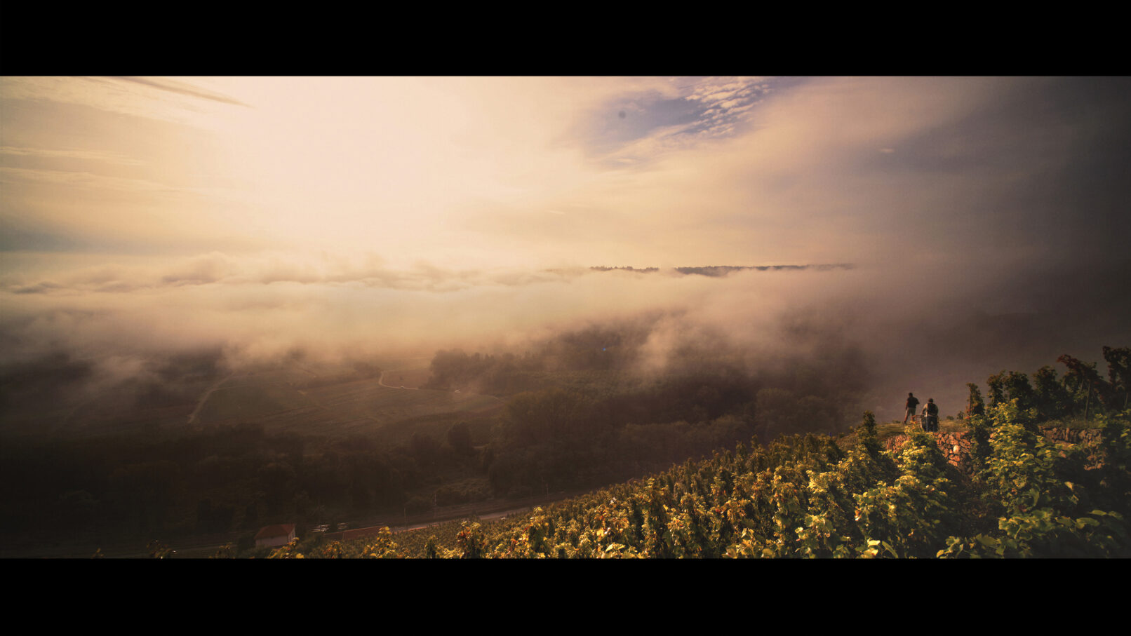 Maison Rouge - Côte-Rôtie