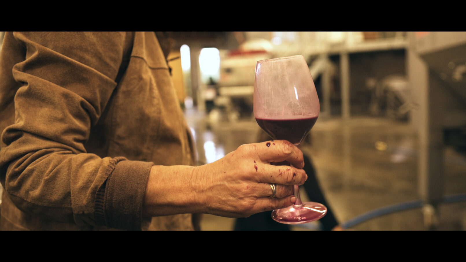 Christine Vernay - décuvage - vin - Les Chaillées de l'enfer