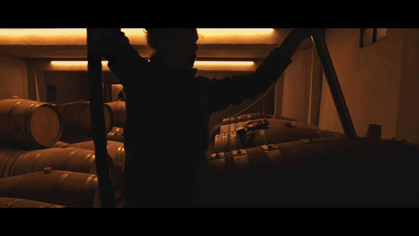 Chai Domaine Georges Vernay - Les Chaillées de l'enfer