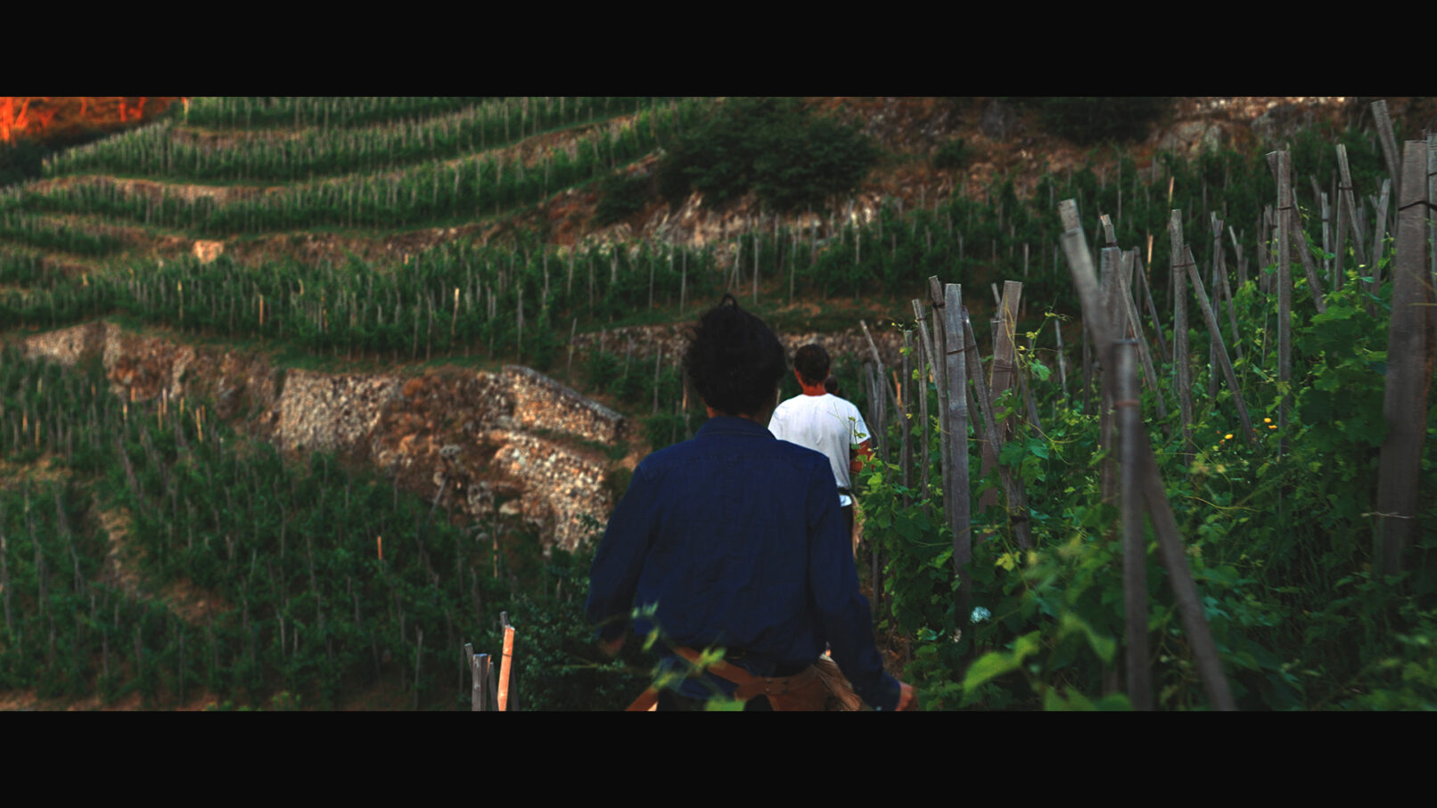 Coteau de Vernon - Les Chaillées de l'enfer