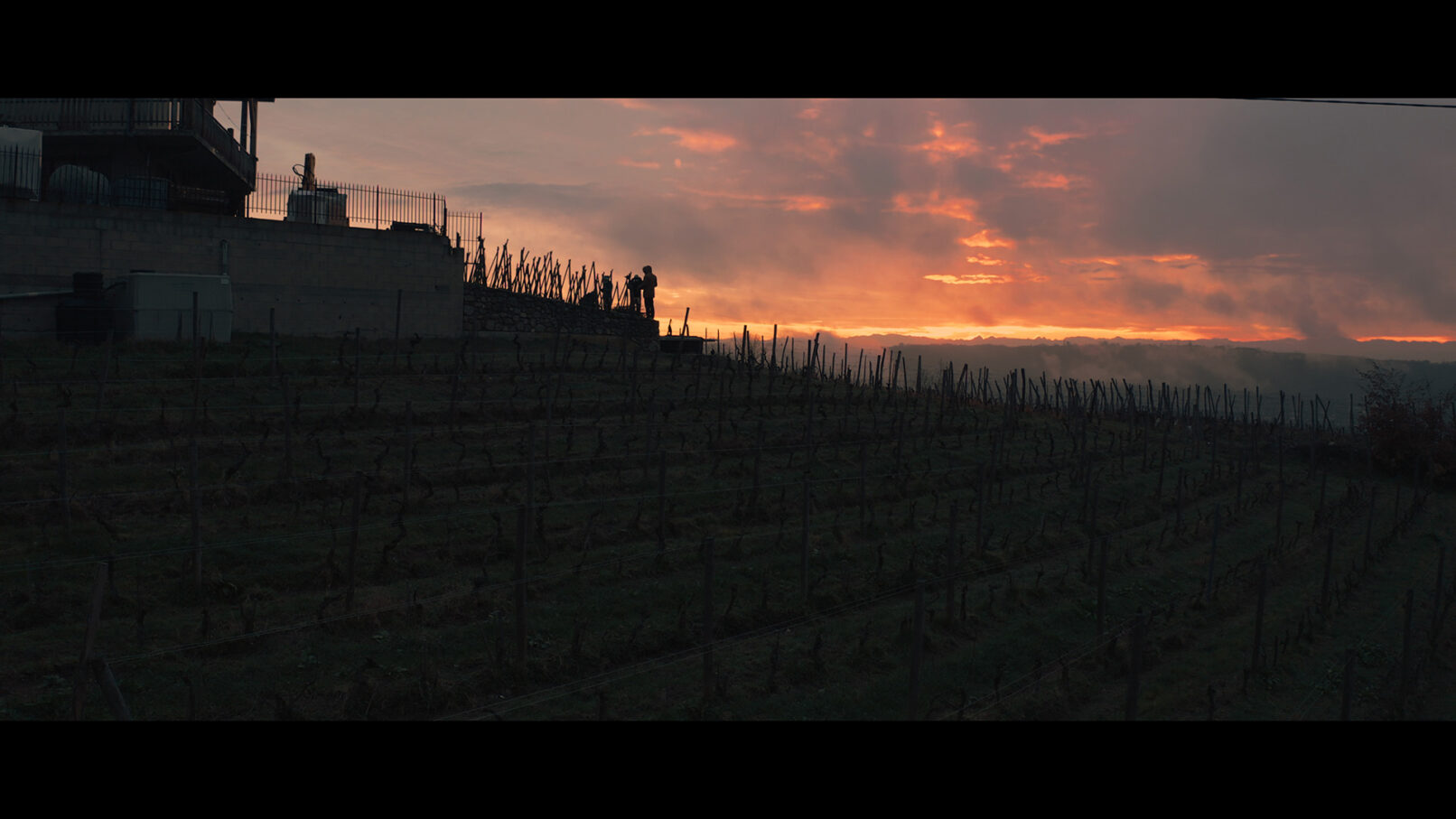 Domaine Georges Vernay - Les Chaillées de l'enfer