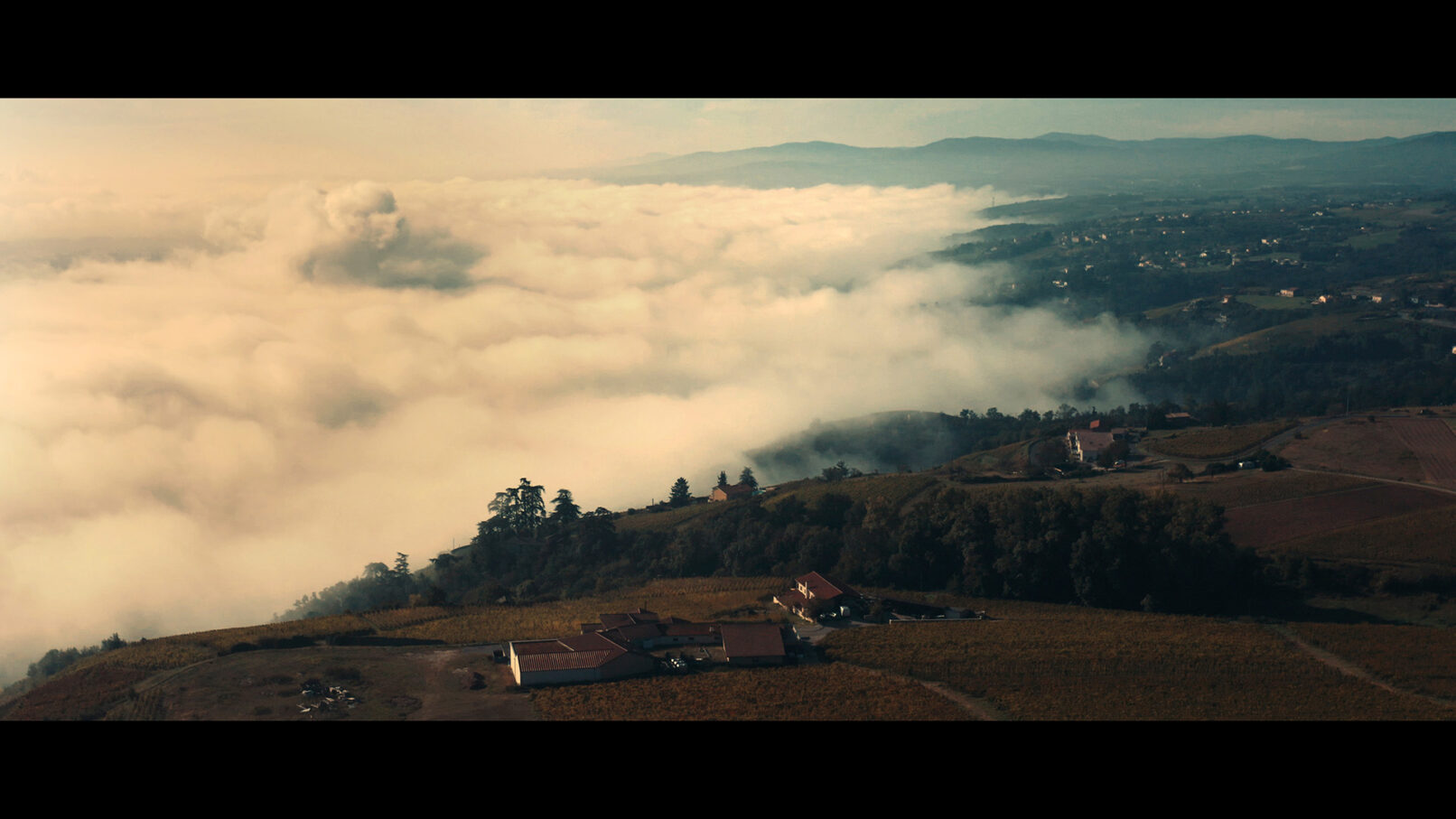 Domaine Georges Vernay - Les Chaillées de l'enfer